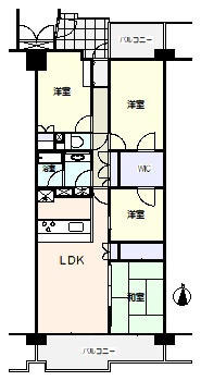 49021画像